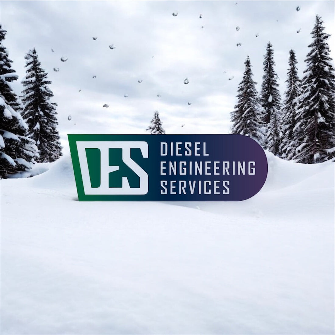 Christmas Holidays 2025-2026