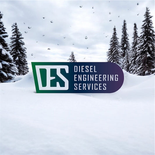 Christmas Holidays 2025-2026