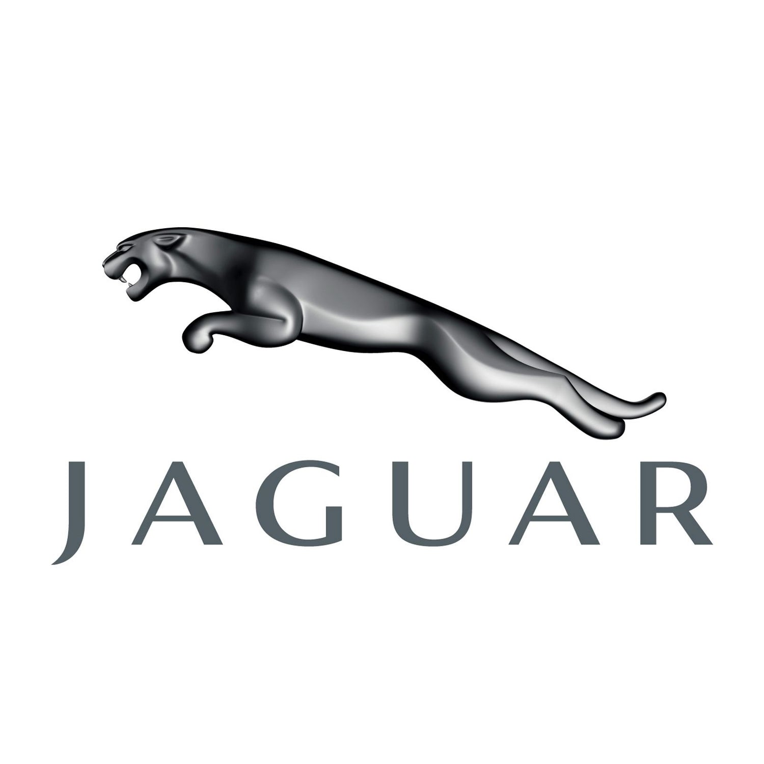 Jaguar Metering Valves