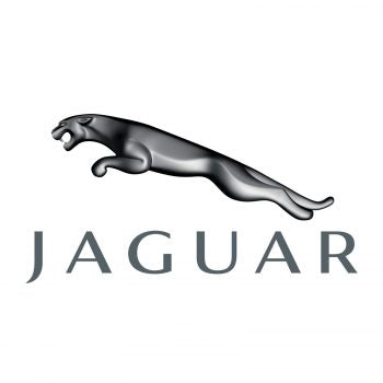 Jaguar Diesel Injectors