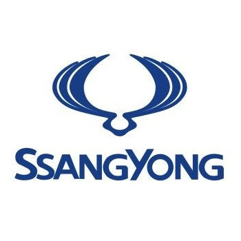 Ssangyong Diesel Injectors