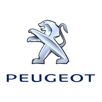 Peugeot GDI Injectors
