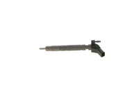 0445 117 029 - New Bosch injector