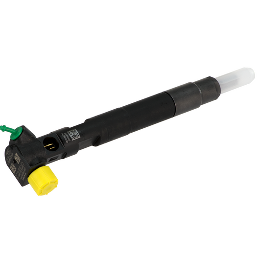 R00203D - New Delphi Injector