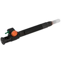 28388960 - New Delphi Injector